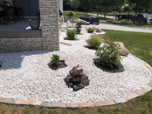 mulch